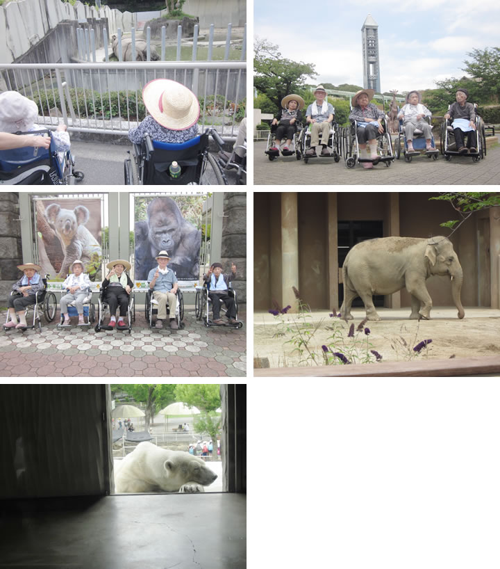 東山動物園の写真