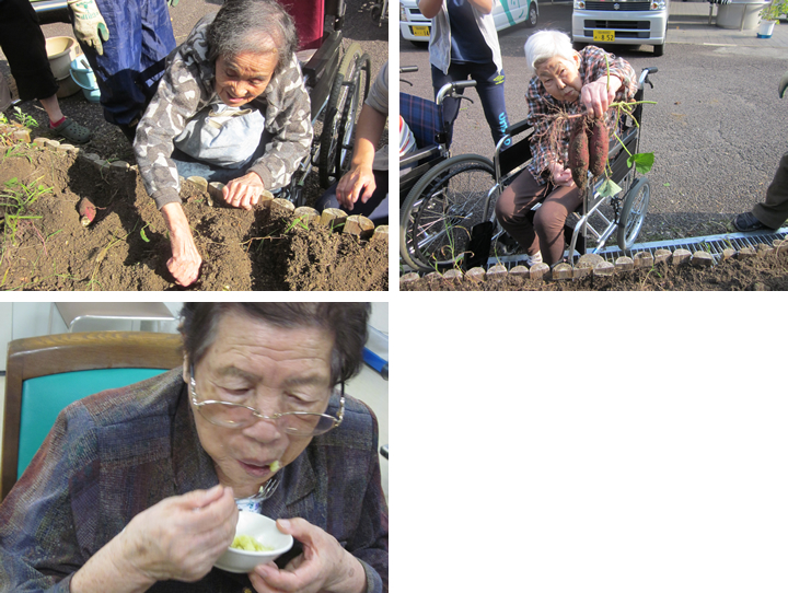 芋ほりの写真